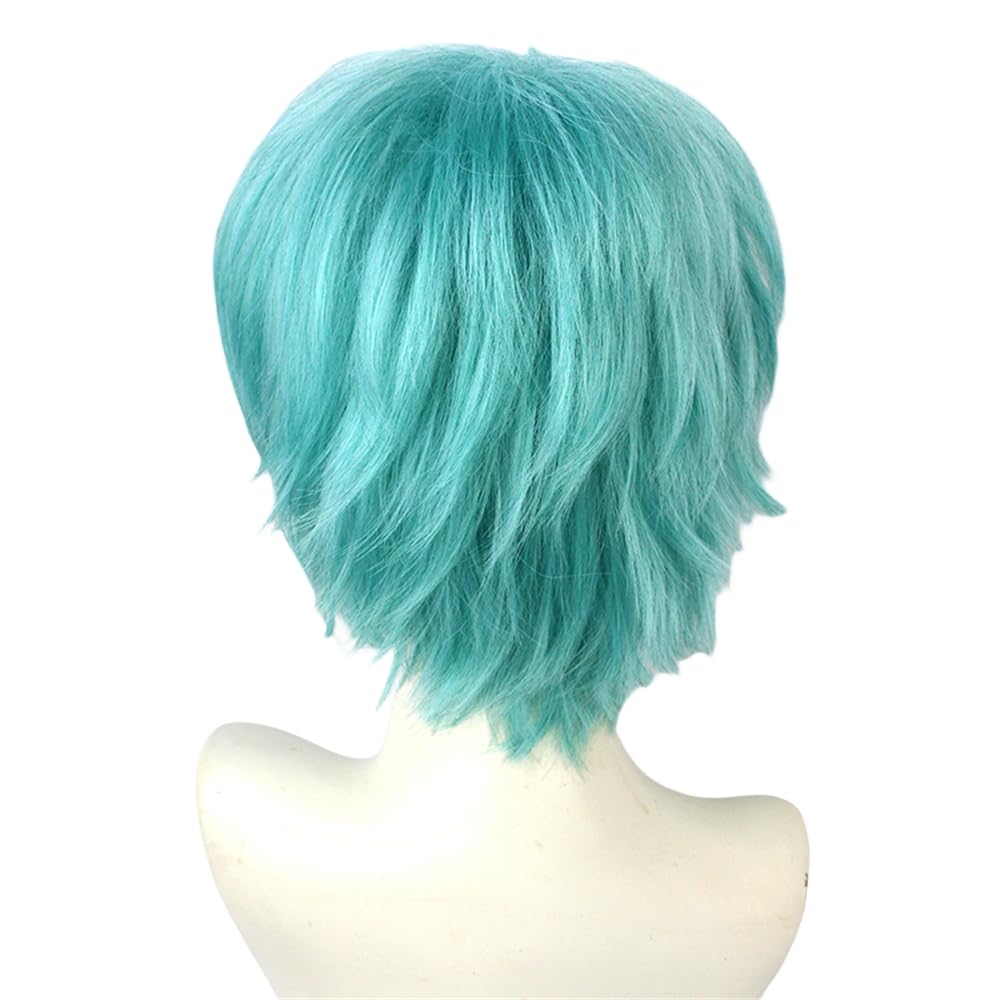 Amazon.co.jp: YILAN 初音ミク ウィッグ ネット付き 男 ショート